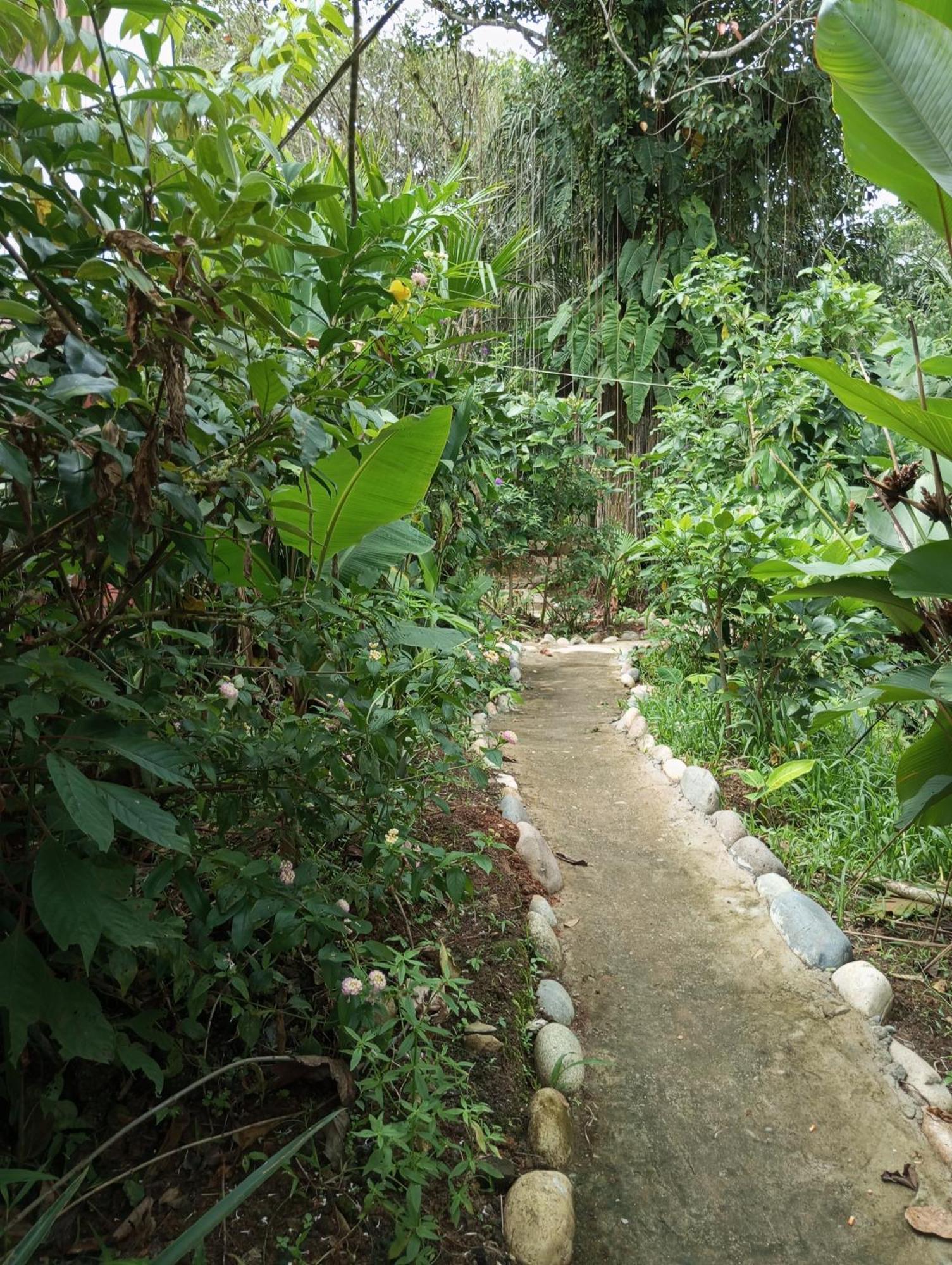 Misahualli Laguna Paikawe B&B Exterior foto